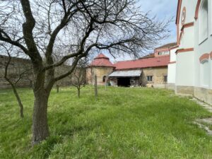 IMG_0010