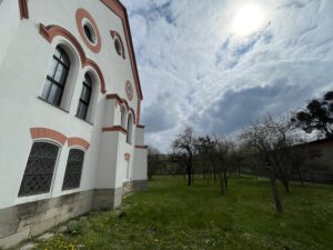 IMG_0012
