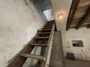 IMG_0289